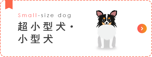 超小型犬・小型犬