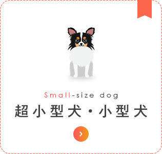 超小型犬・小型犬