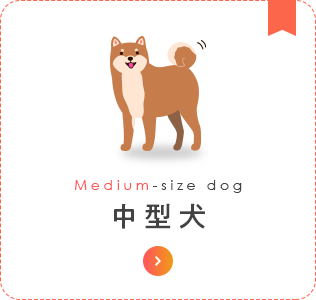 中型犬