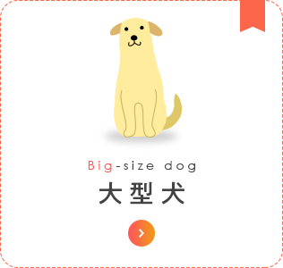 大型犬